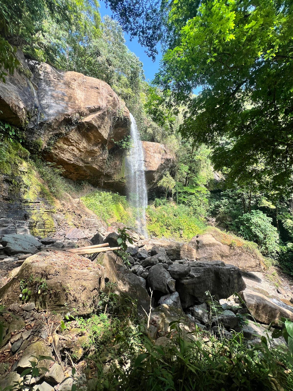 Vertical photo