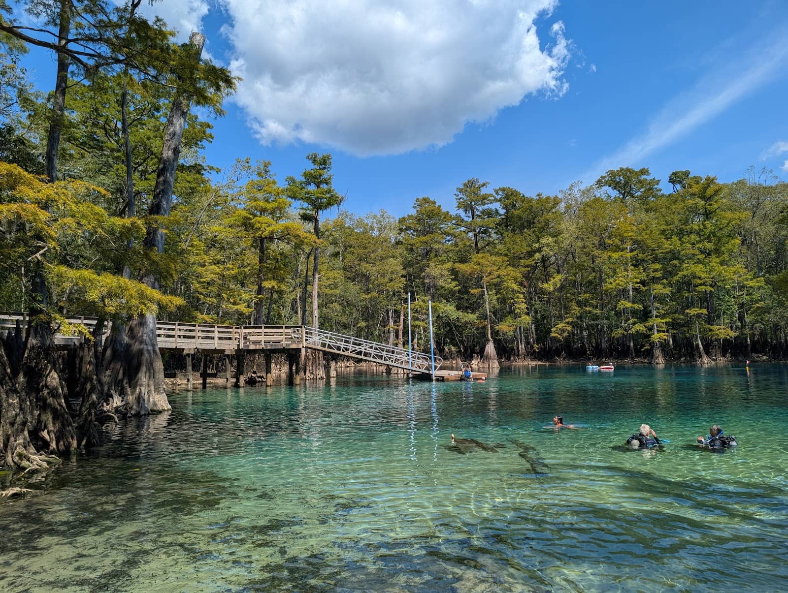 Diving and Snorkeling Haven