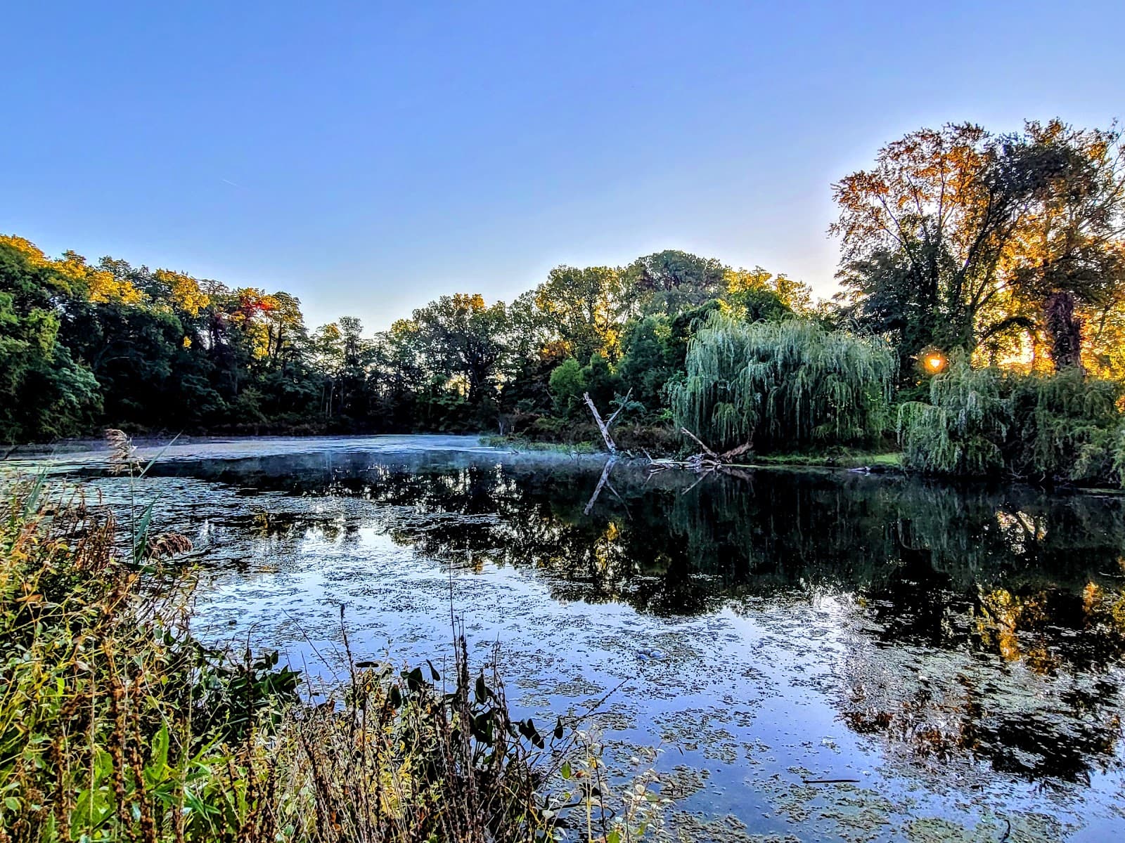 Hansen Park - Image 1