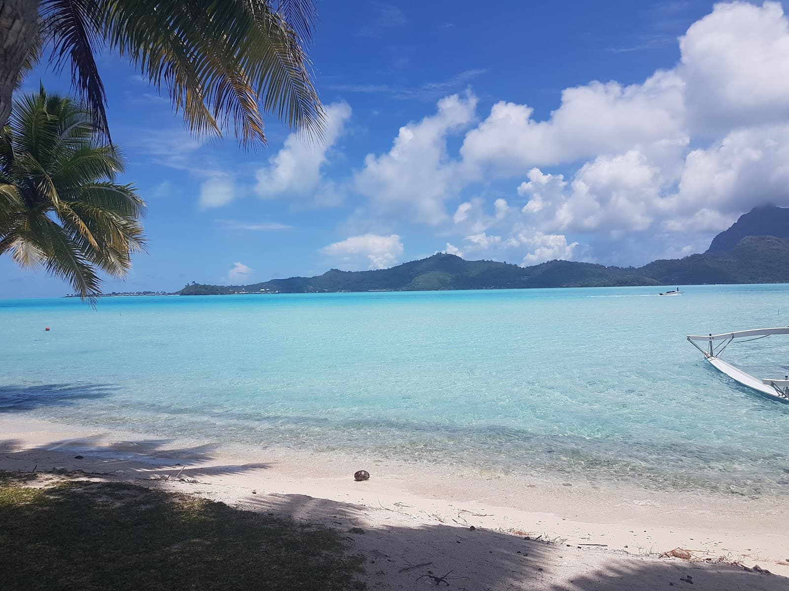 Motu Piti Aau - Image 1