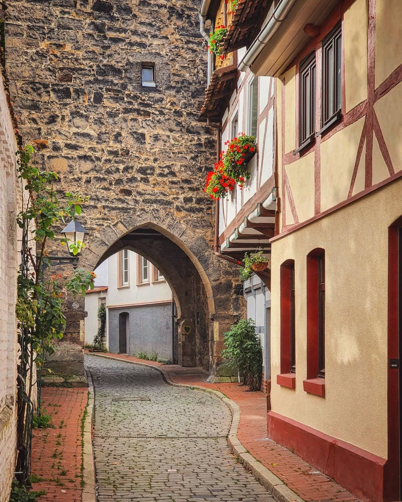 Half-Timbered Houses