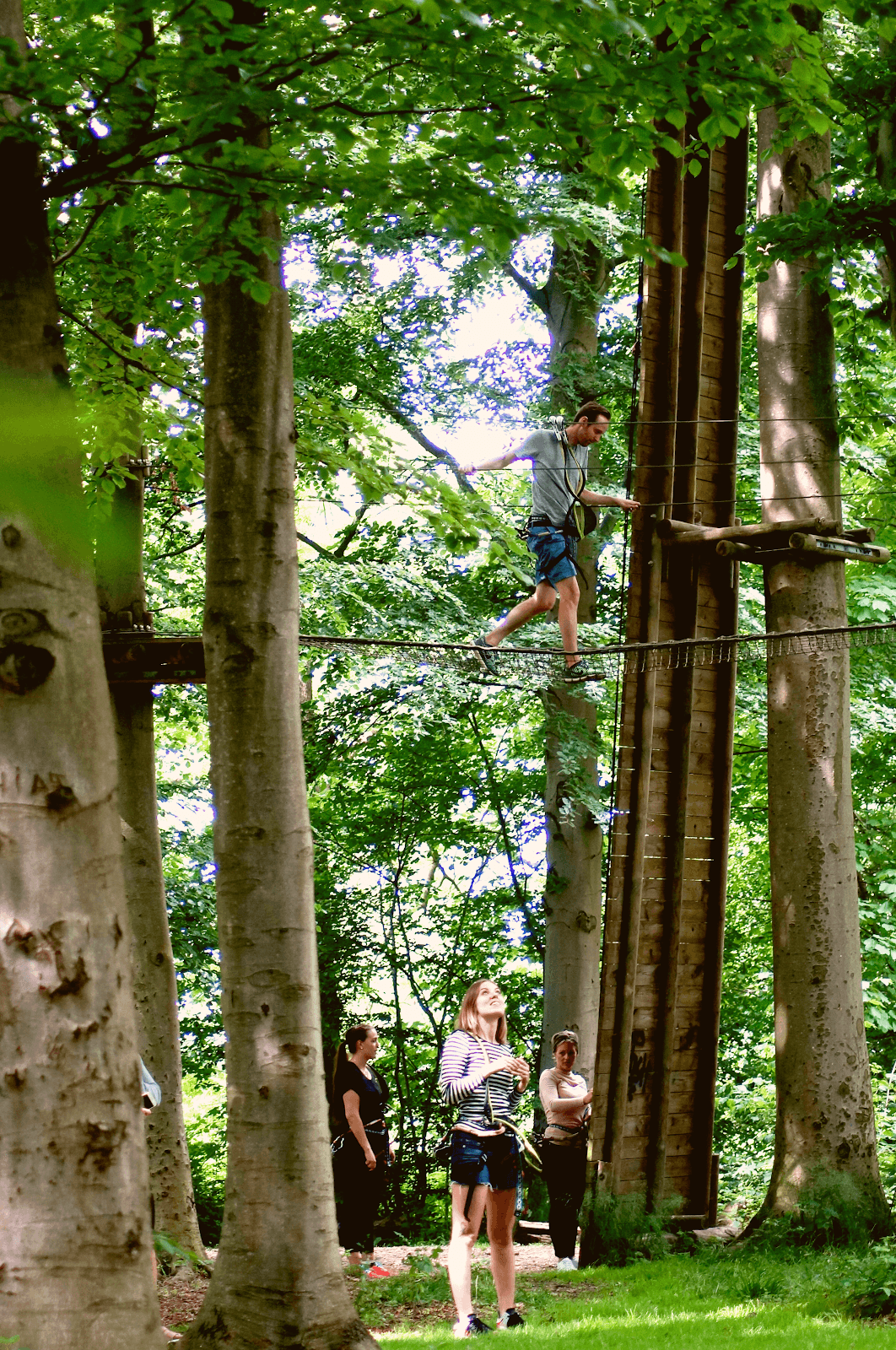 Fruens Bøge Forest - Image 1