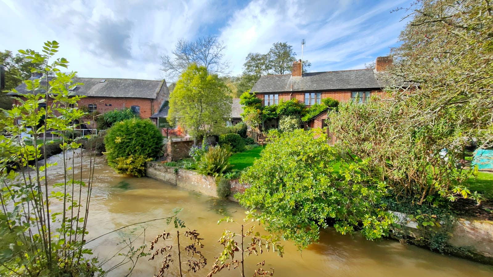 Relaxing Garden Ambiance