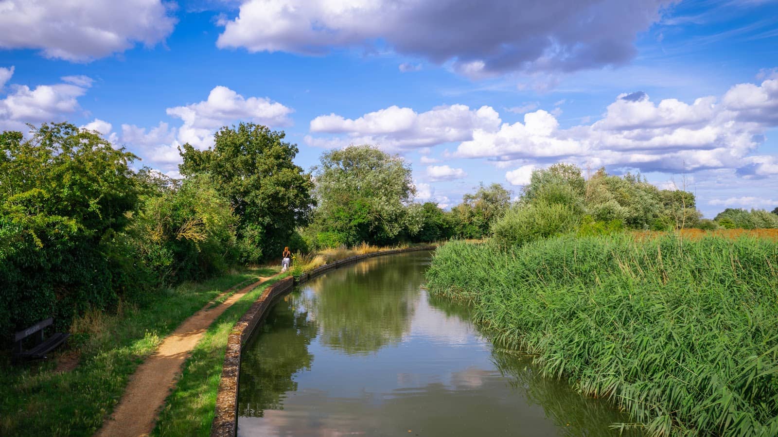 St. Peter's Church Ruins
