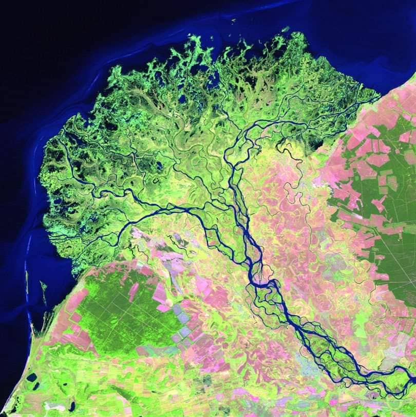 Birdwatching Paradise
