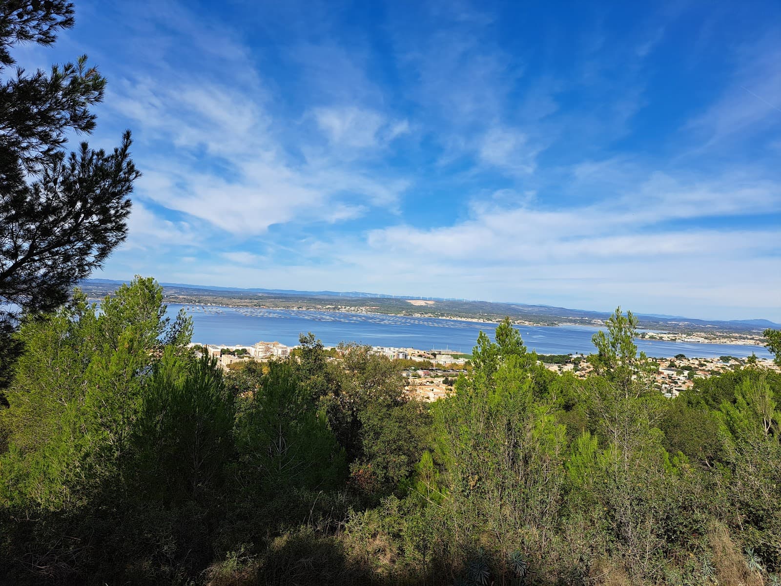 Bois des Pierres Blanches - Image 1