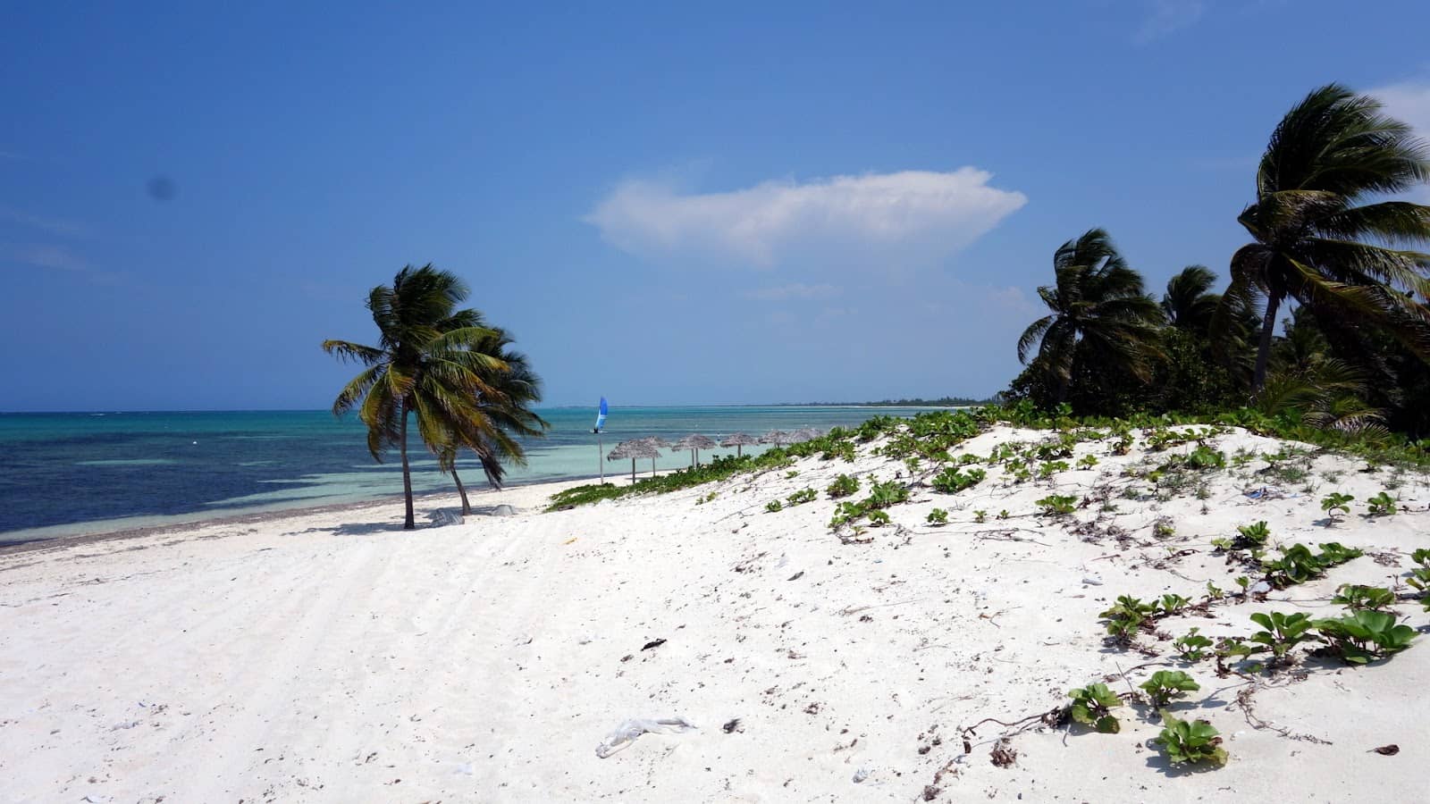 Diving and Snorkeling