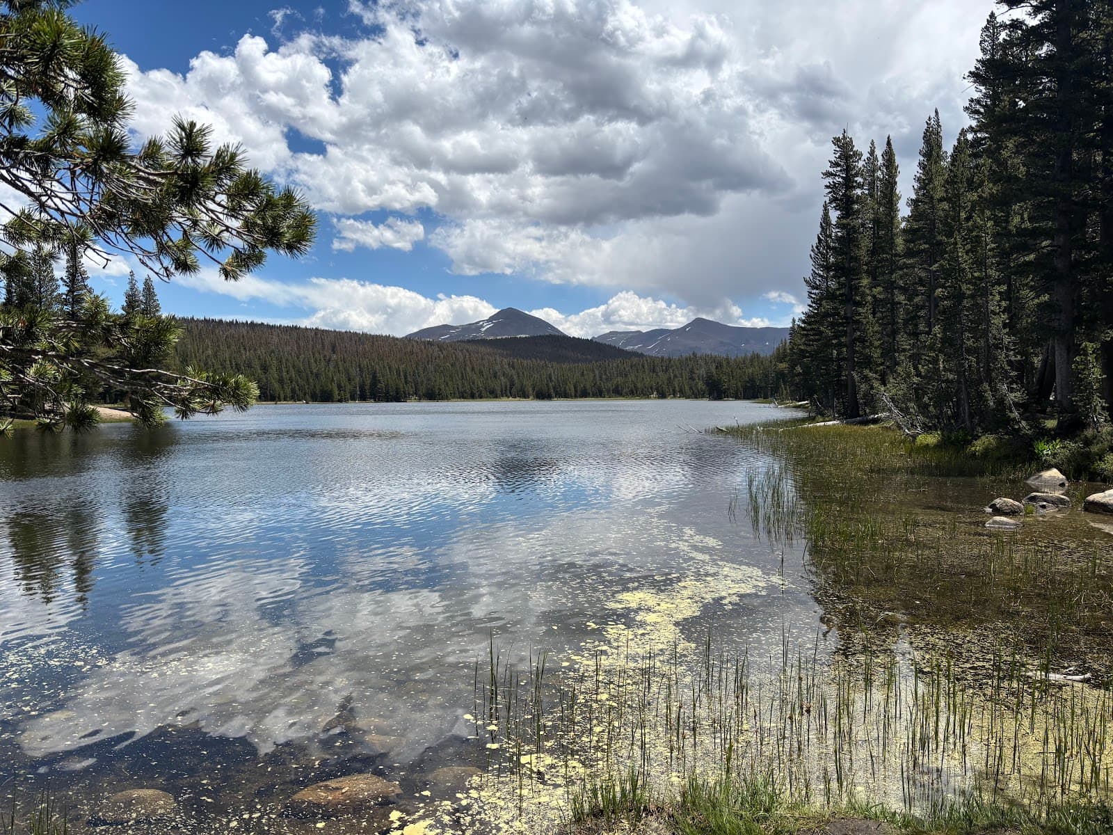 Dog Lake - Image 1