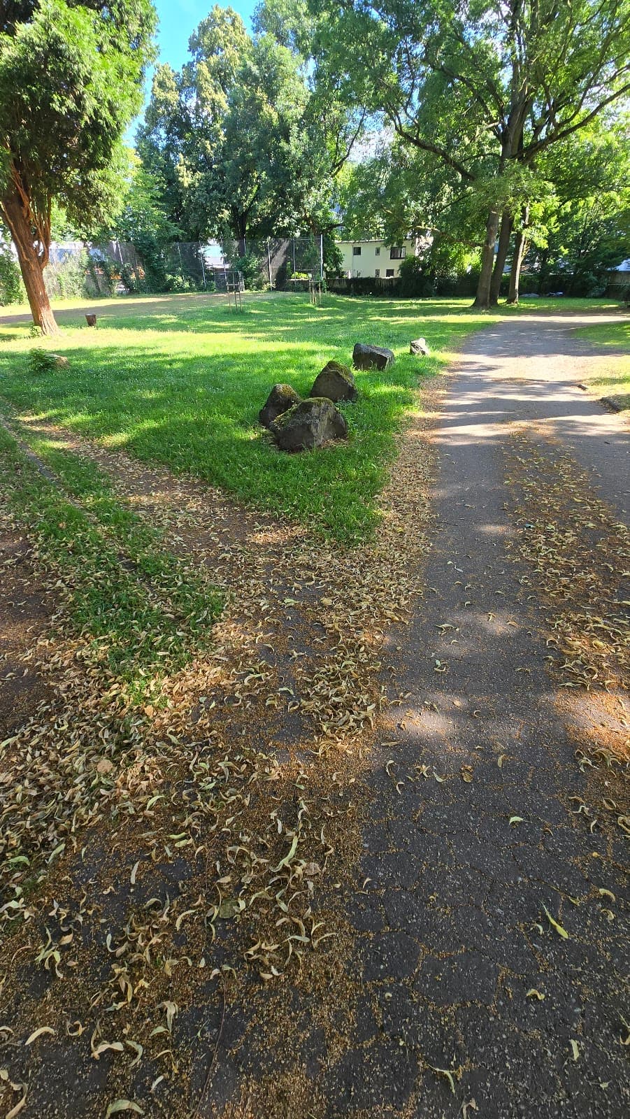 Alter Friedhof Andernach - Image 1