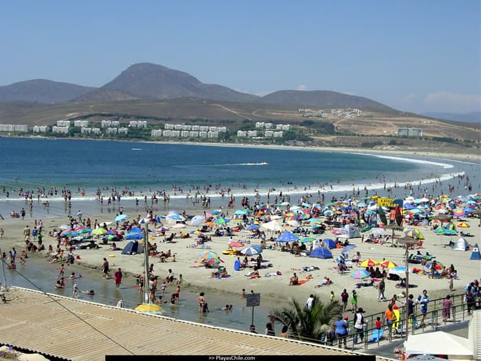 Socos Beach (Tongoy) - Image 1