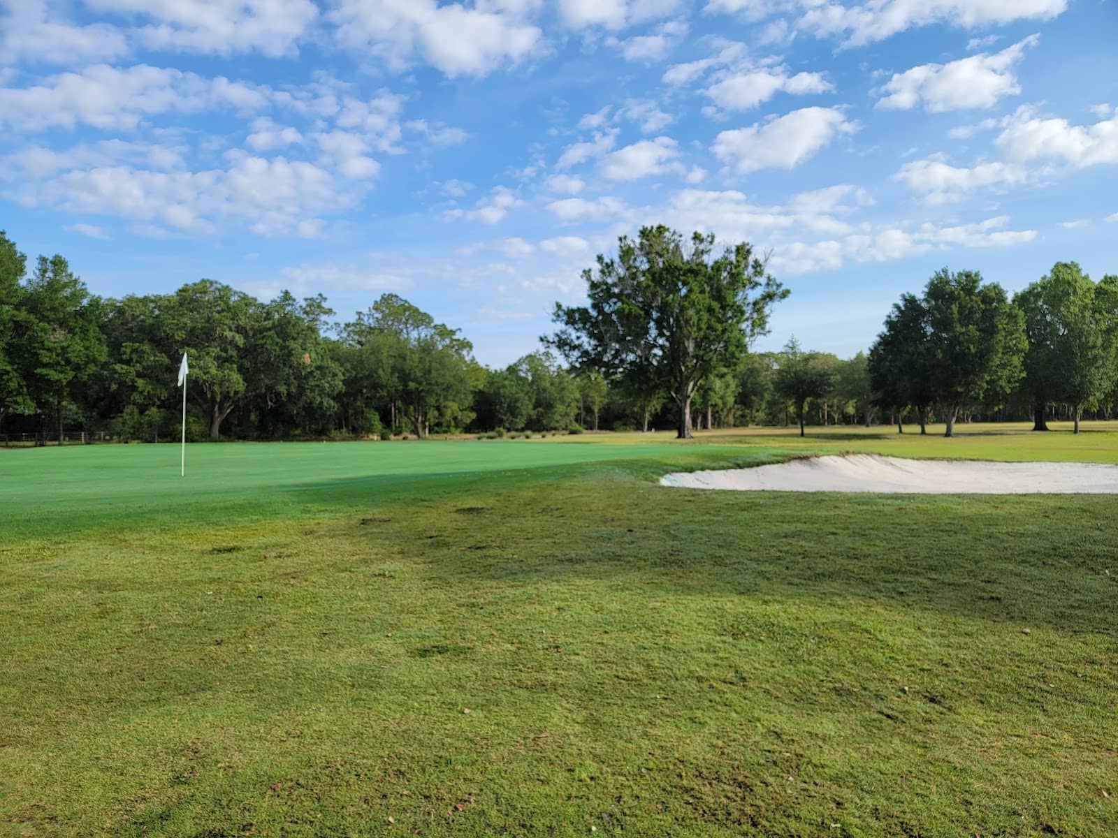 Well-Maintained Greens