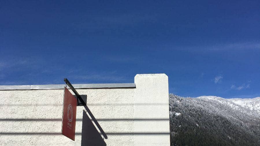 Local Artist Showcases