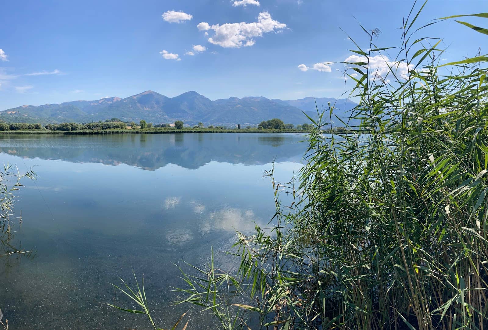 Carp Fishing Haven