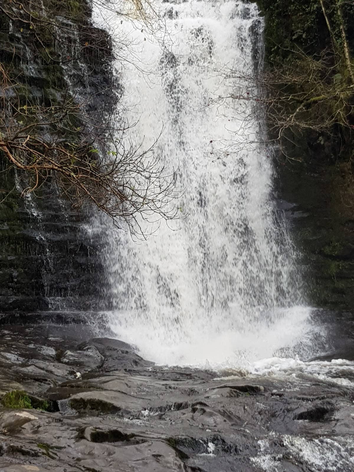 Vertical photo