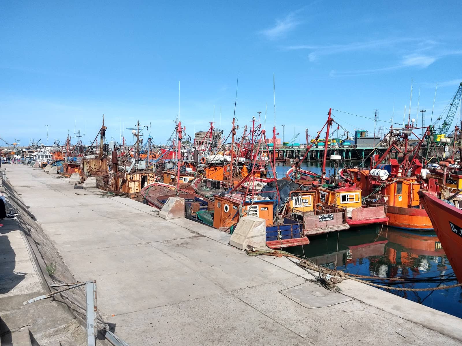 Fresh Catch Delights