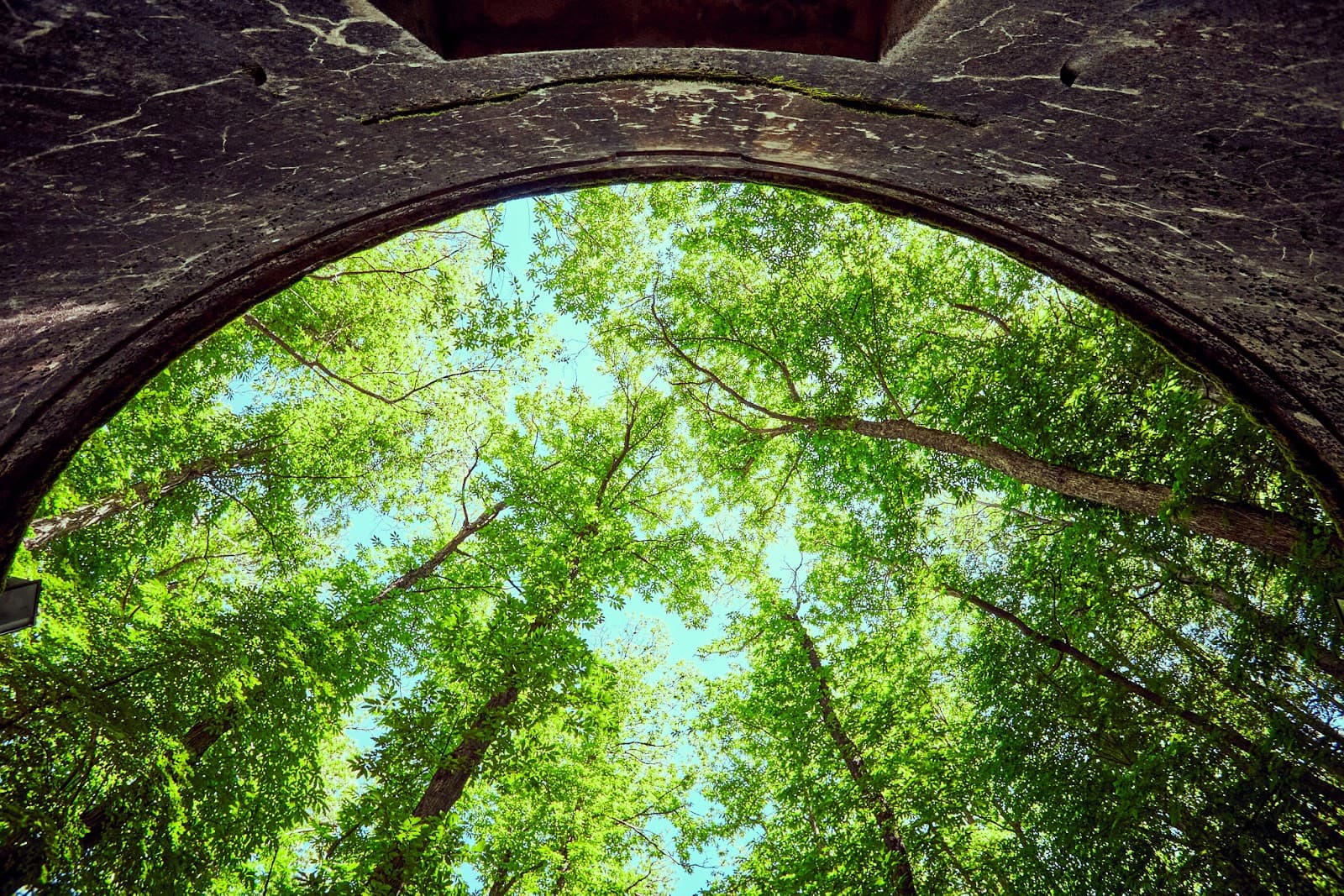 Sorgenti del Vivo (springs) - Image 1