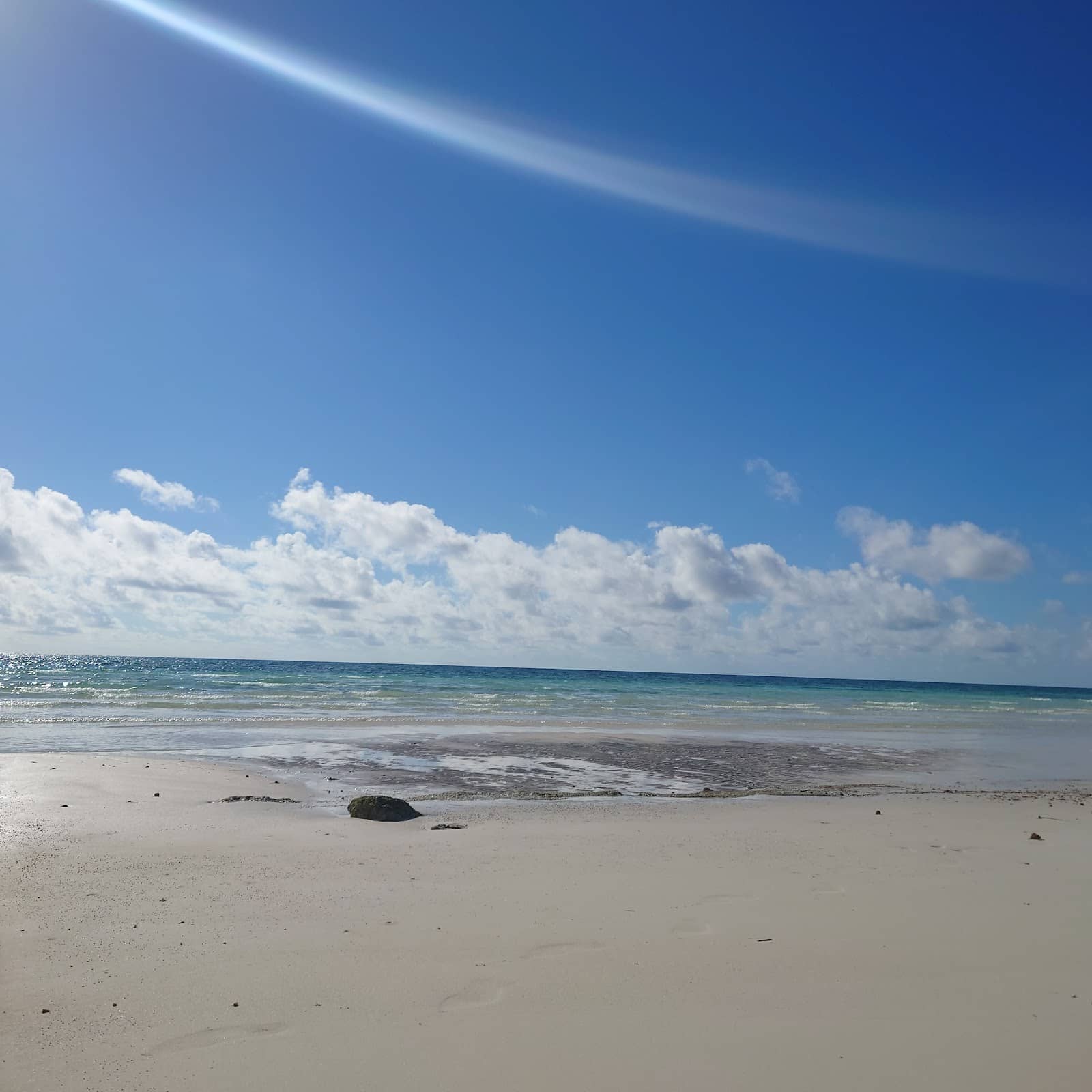 Botanical Gardens Exploration