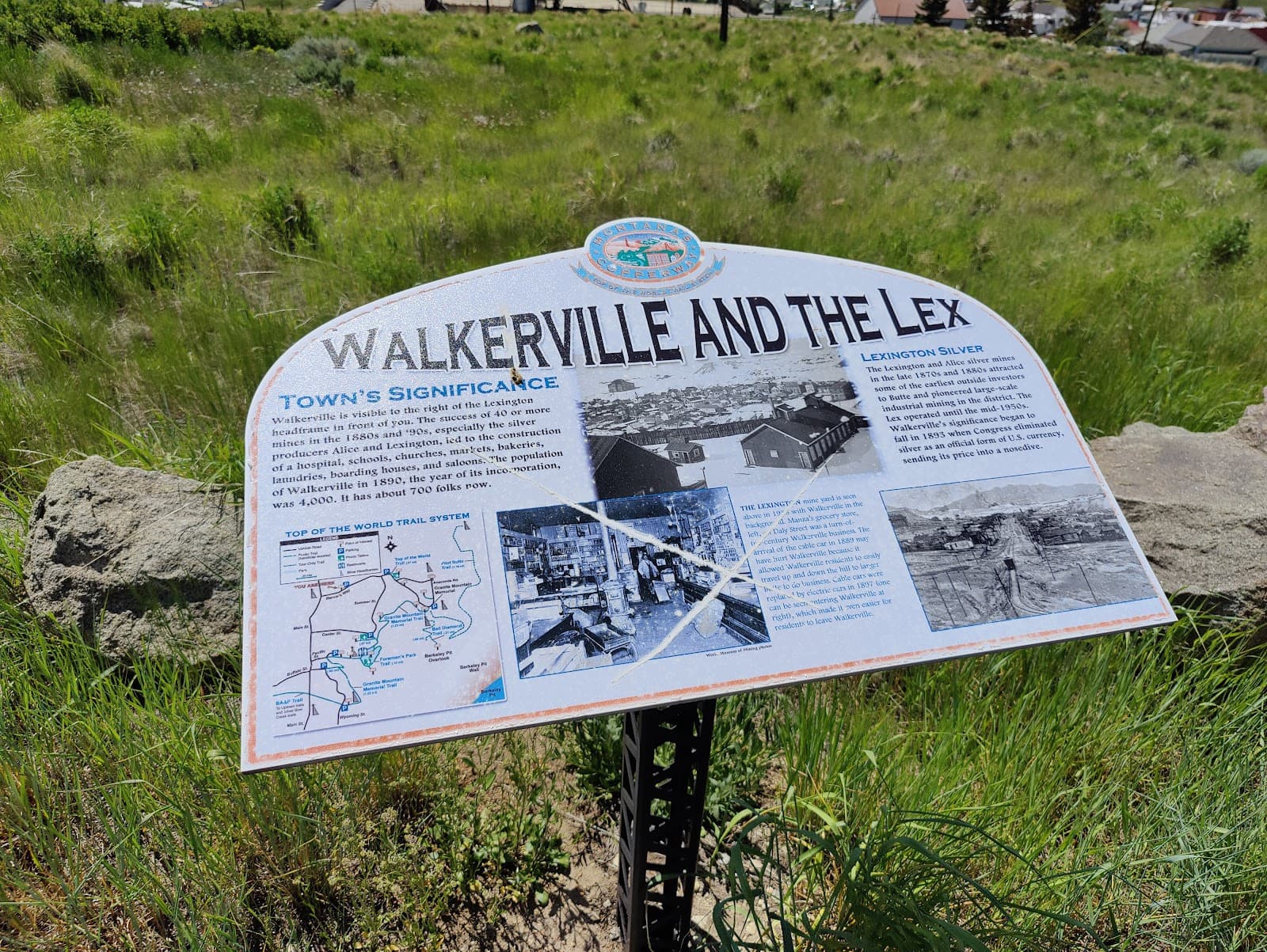 Walkerville Historic District - Image 1