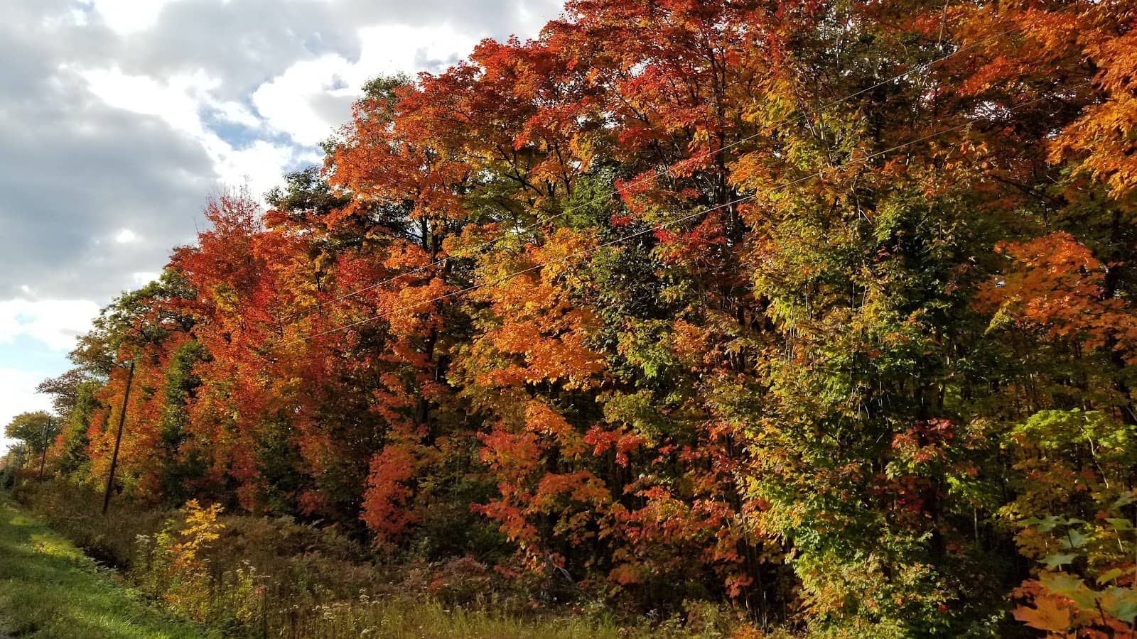Ferry Ride Experience