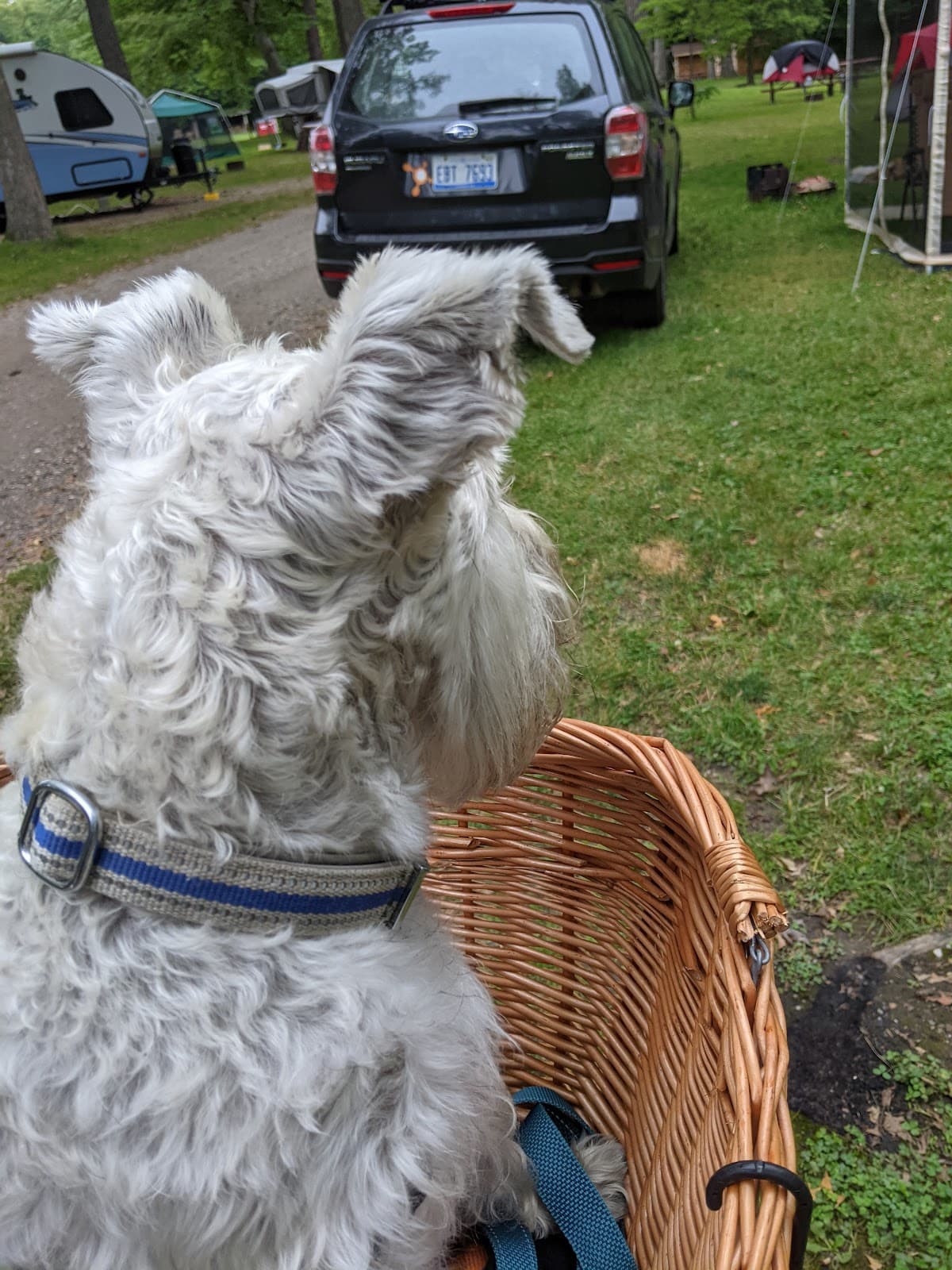 North Beach - Image 1