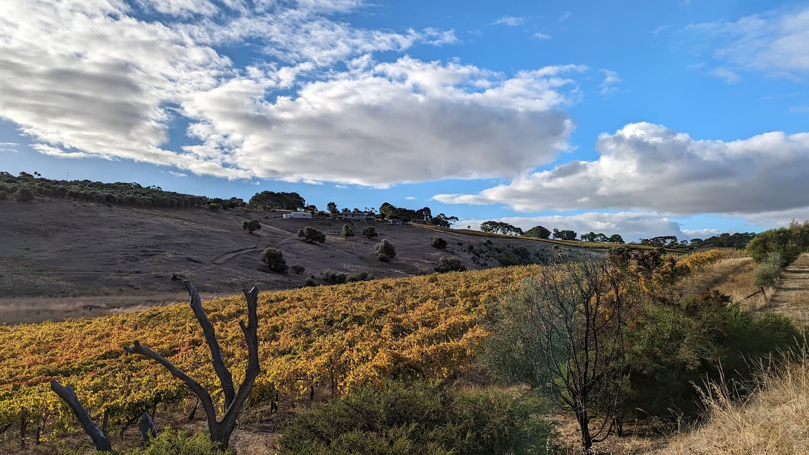 Coast to Vines Rail Trail - Image 1