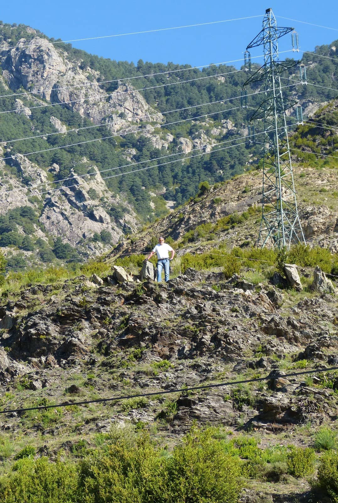 Tango Bag Collection