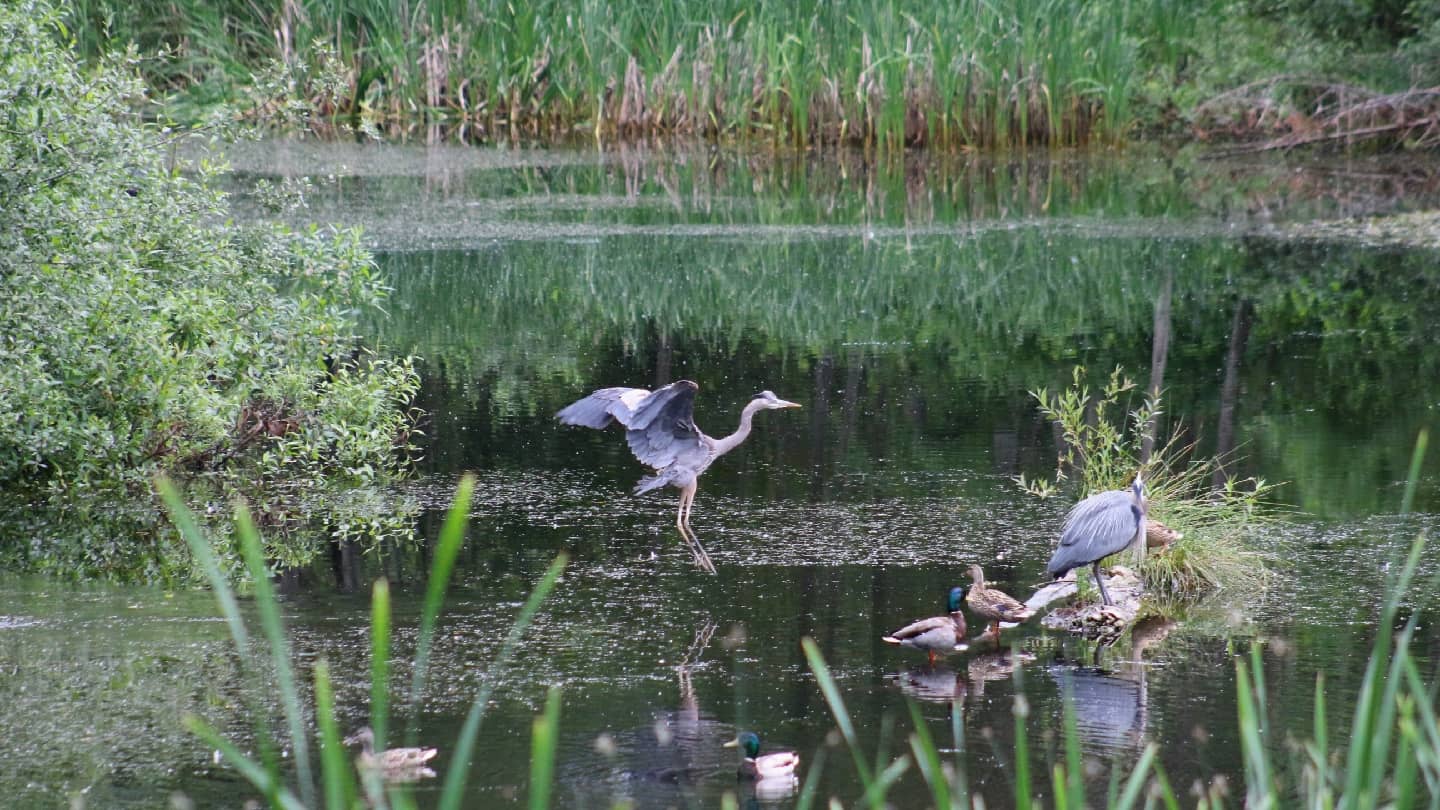 Mudflats and Beach Access