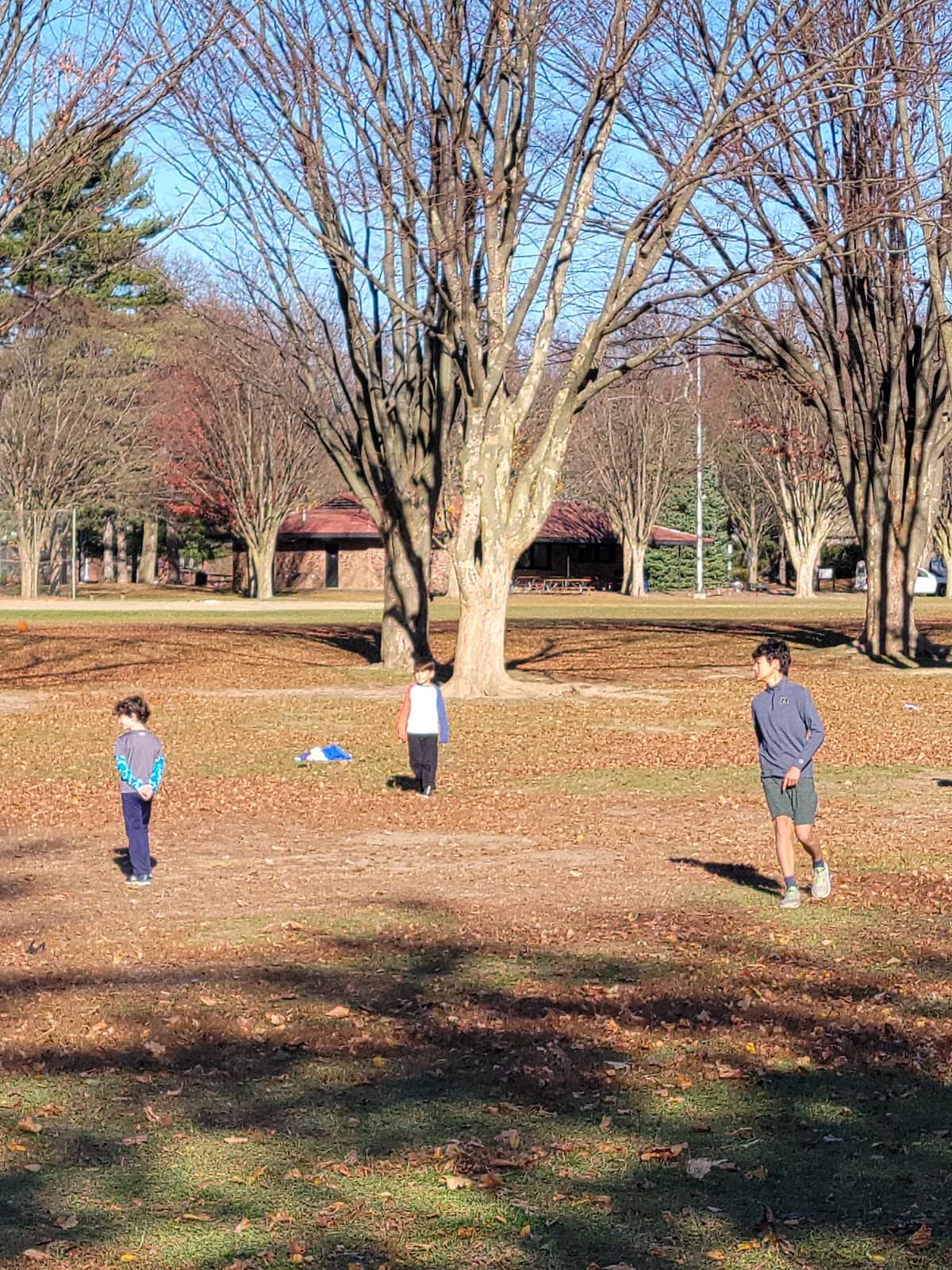Burns Park Disc Golf Course