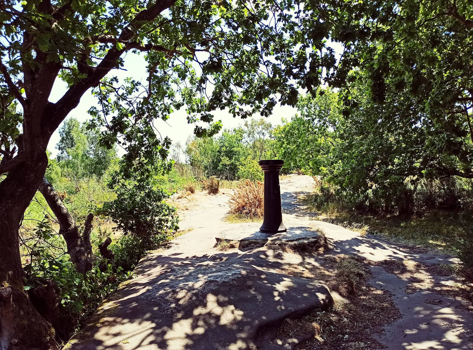 Vertical photo