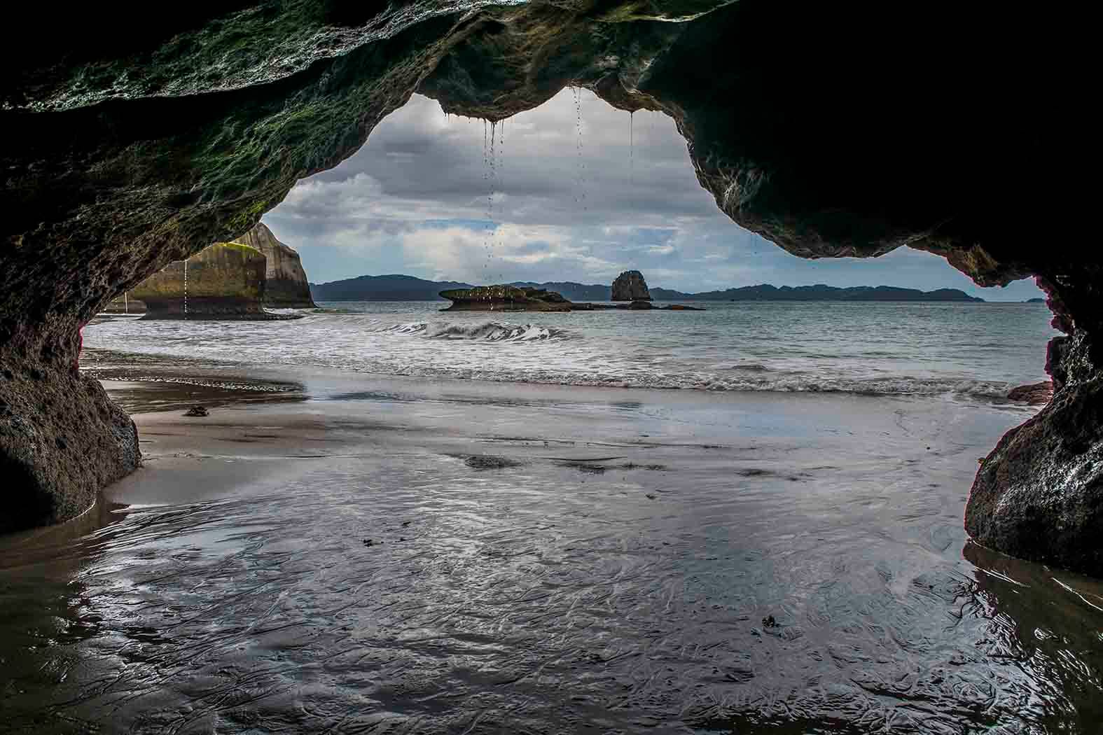Tidal Pools Exploration