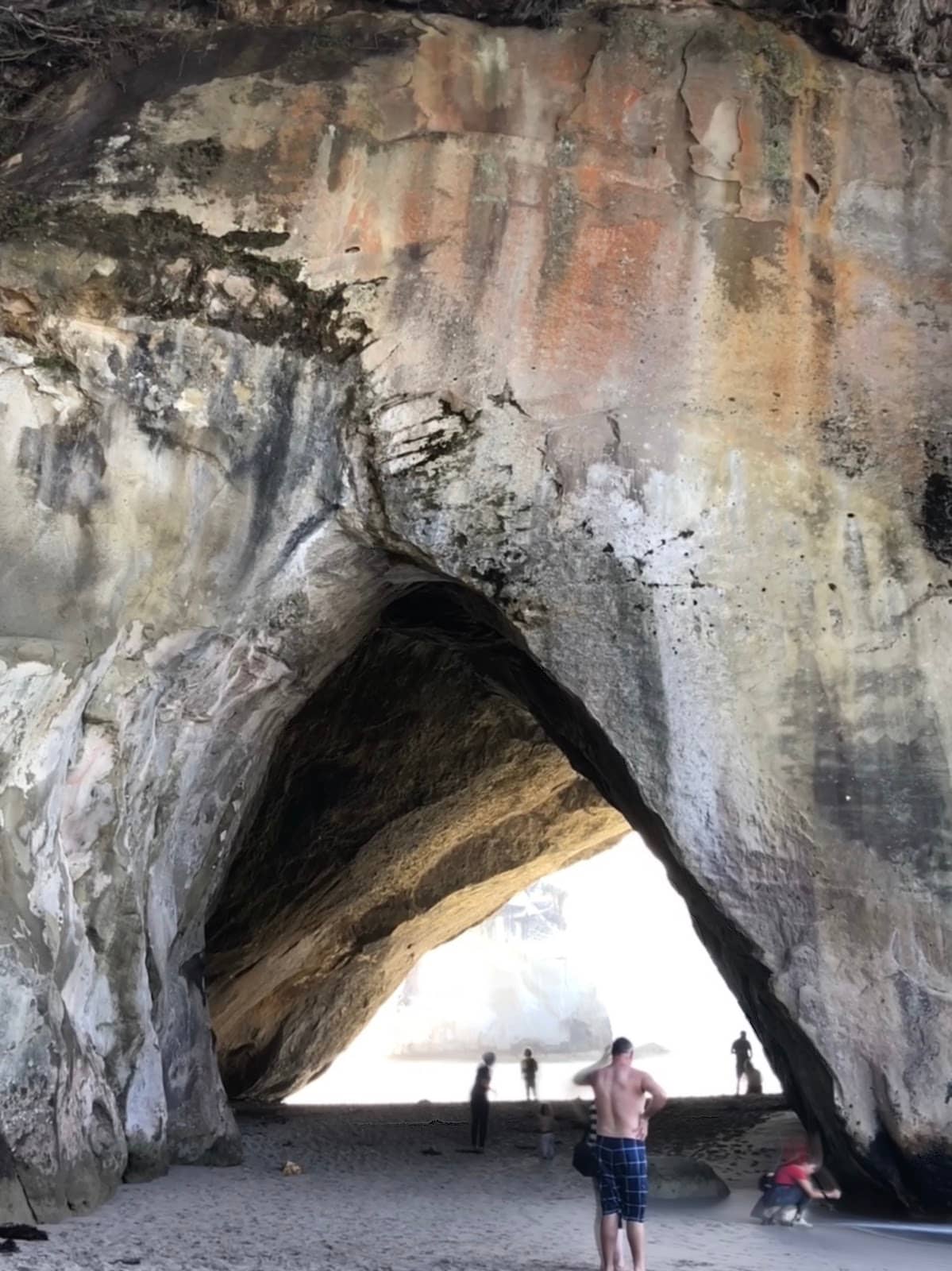 Vertical photo