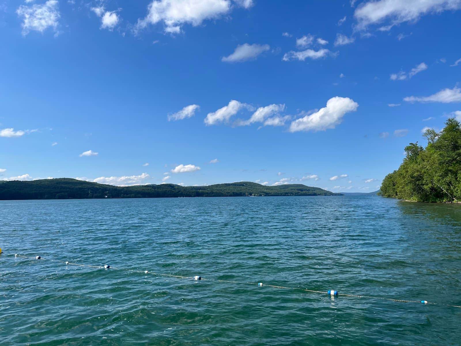 Dog-Friendly Waters