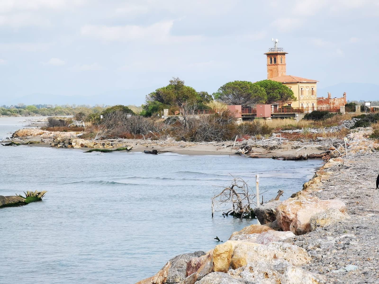 Wildlife Observation