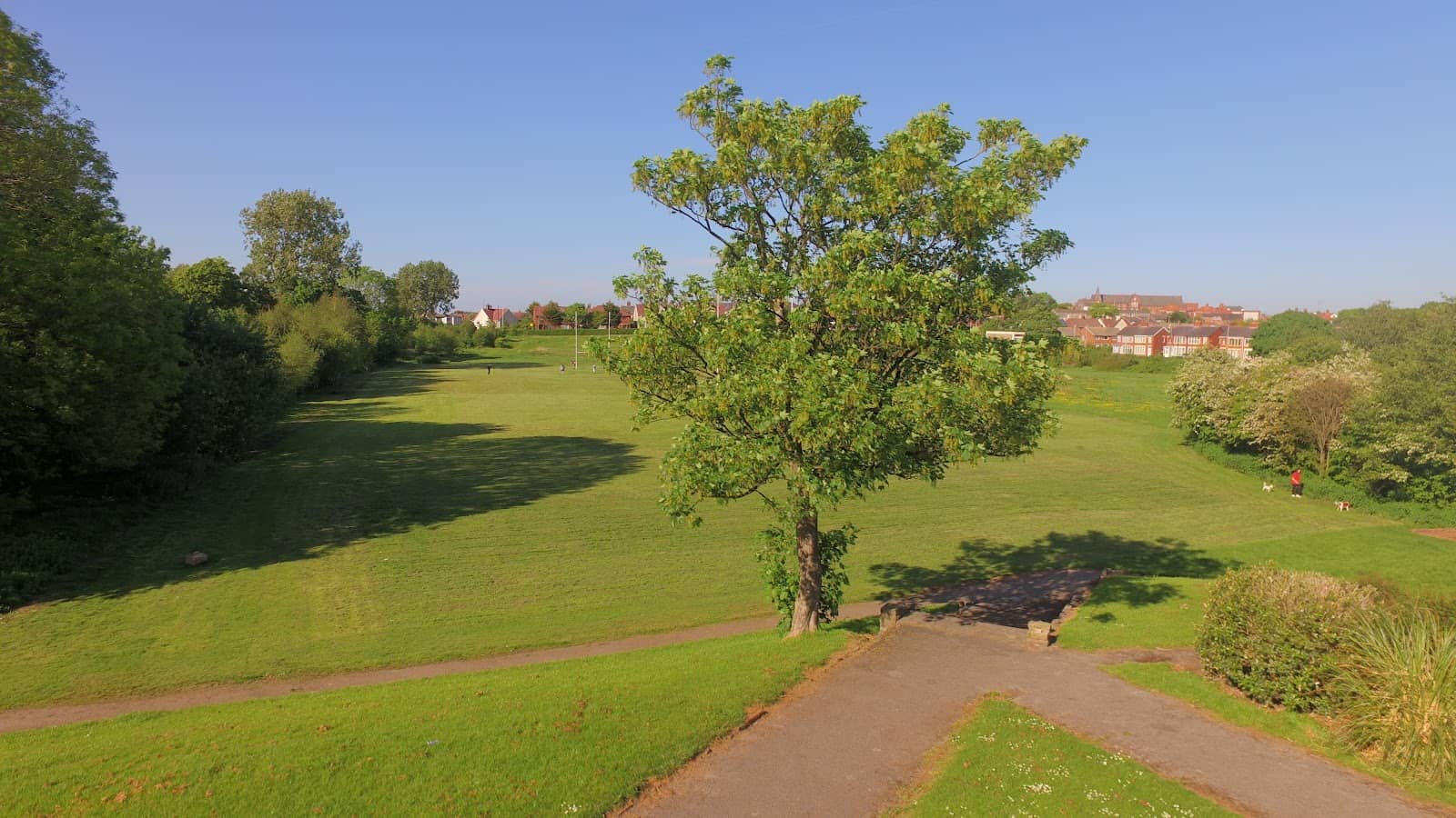Spacious Greenery