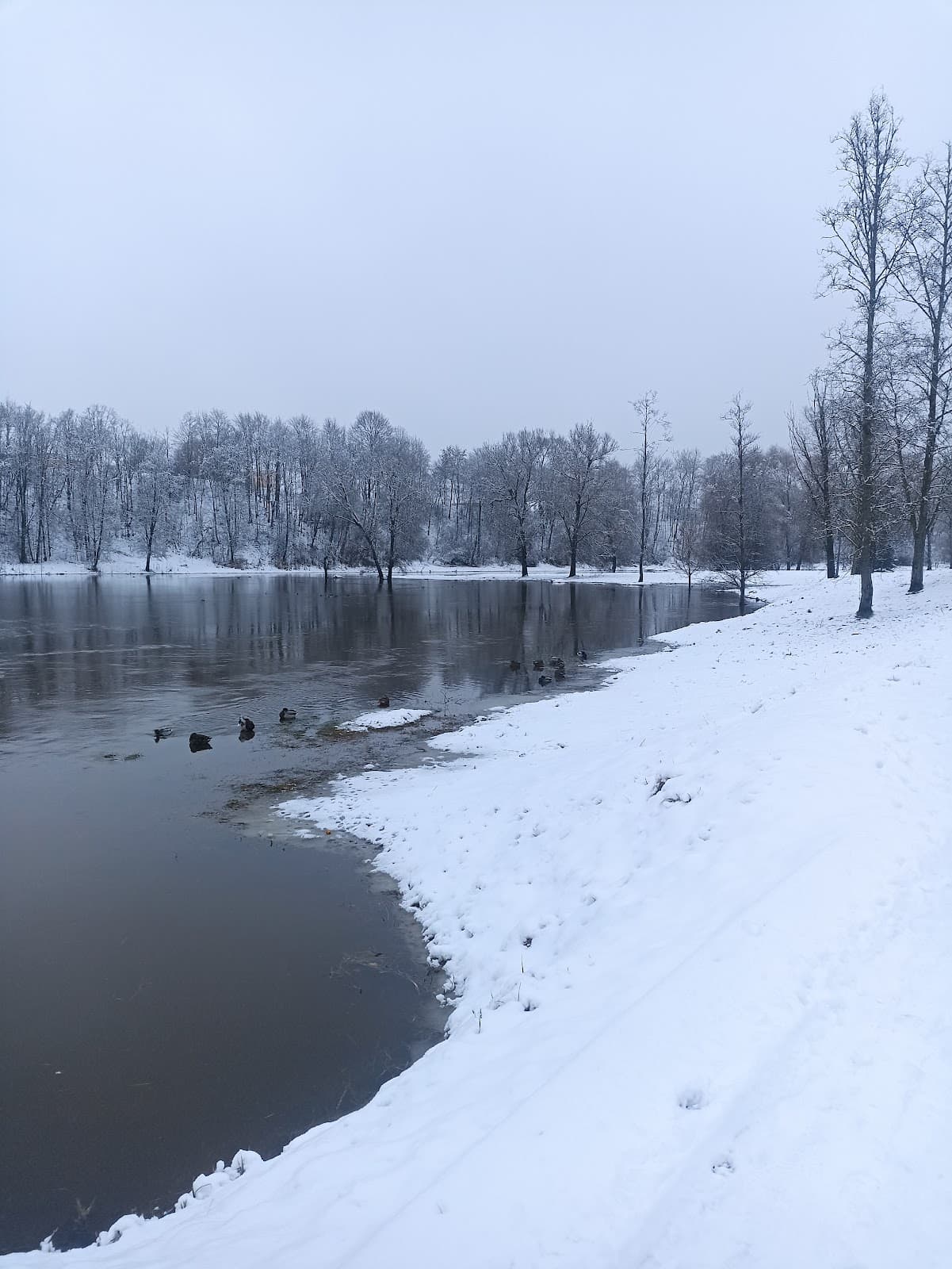 Vyžuonos Park Utena - Image 1