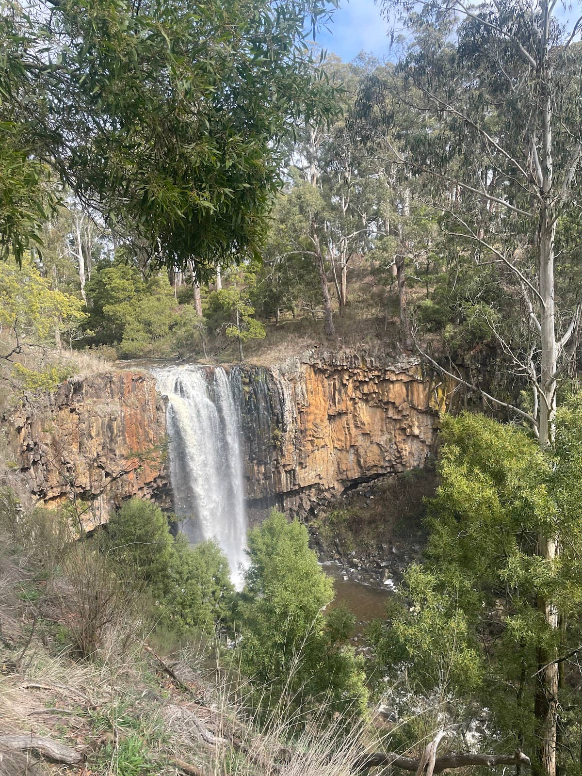 Panoramic Views