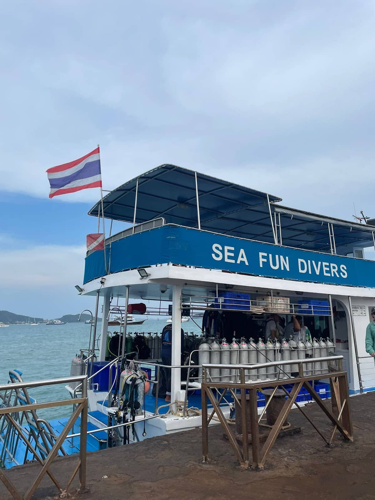 Marine Life Encounters