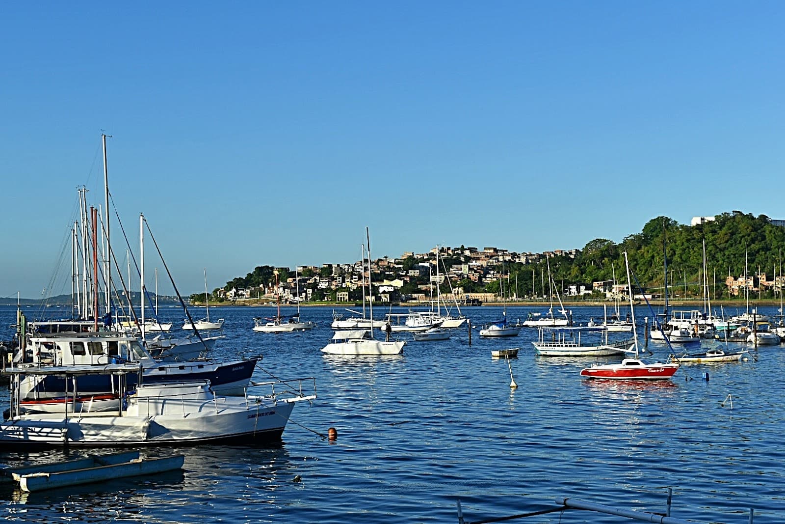 Bairro da Ribeira - Image 1