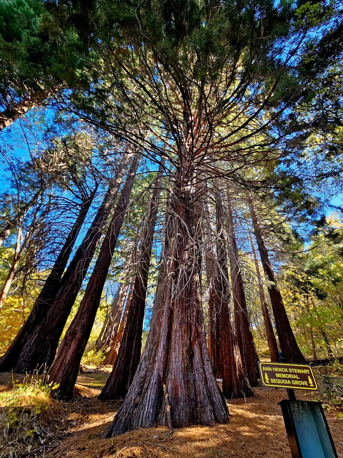 Heaps Peak Arboretum - Image 1