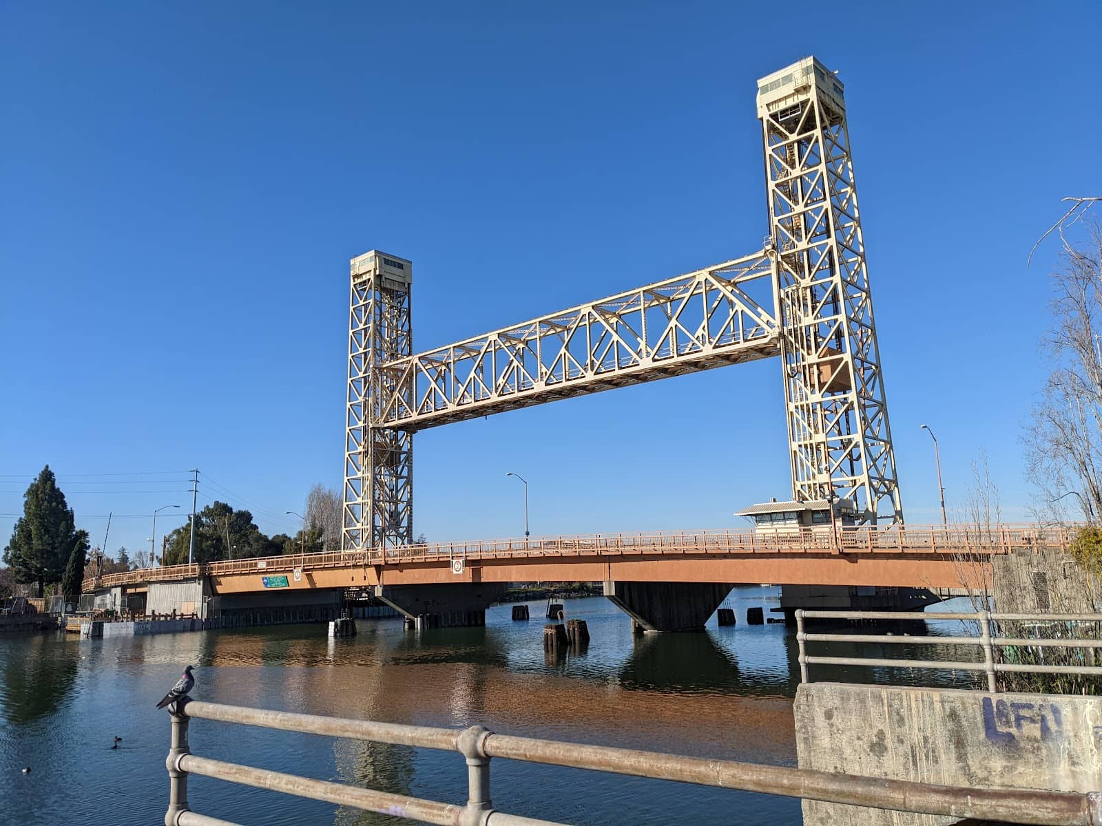 Vertical photo