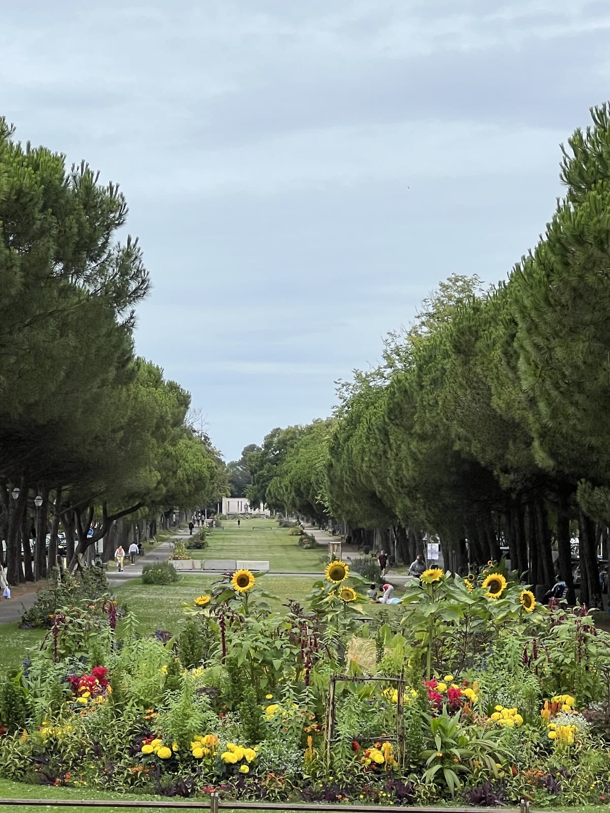 Parc Charruyer La Rochelle - Image 1