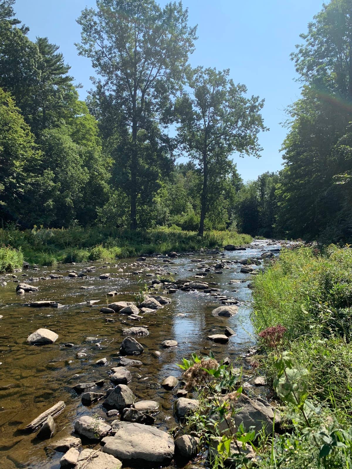 Wildlife Viewing