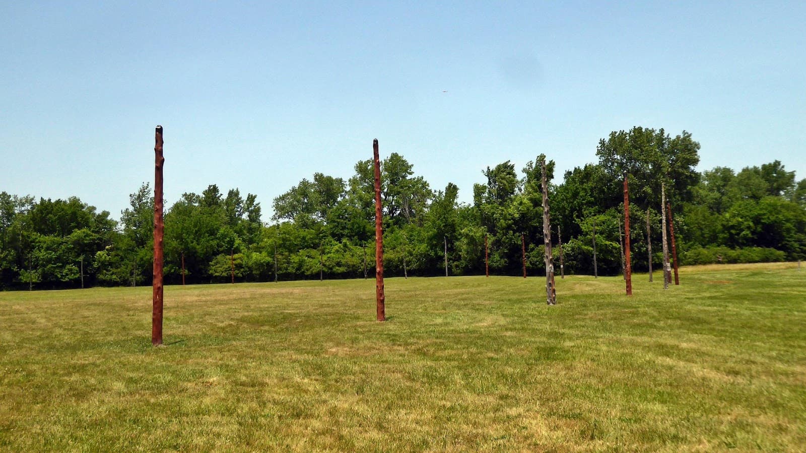 Cahokia Woodhenge - Image 1