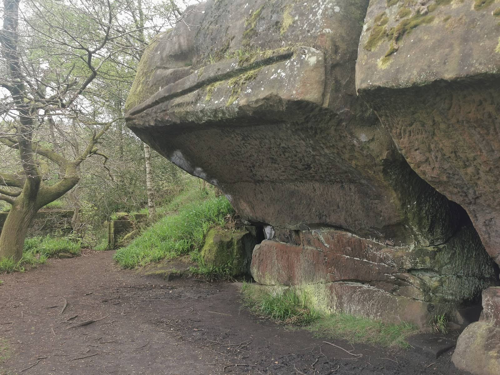 Scenic Hiking Trails