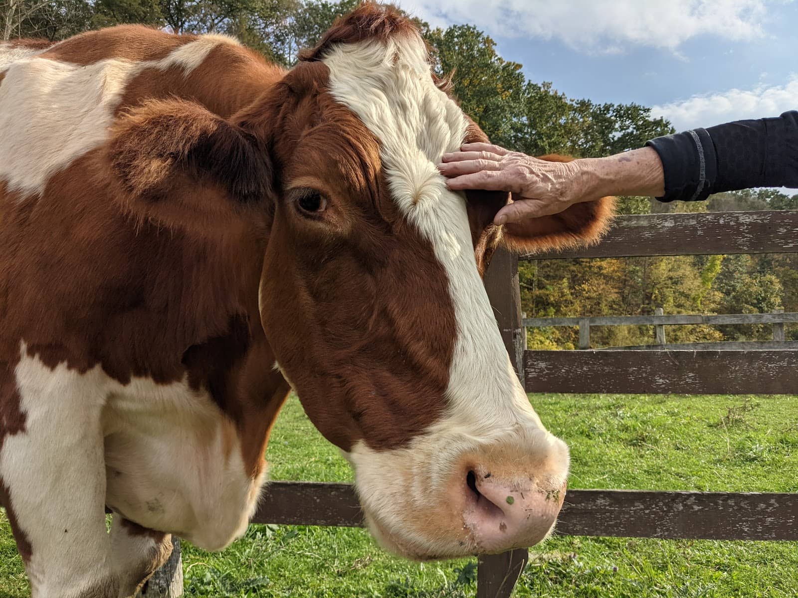 Quiet Moments of Connection