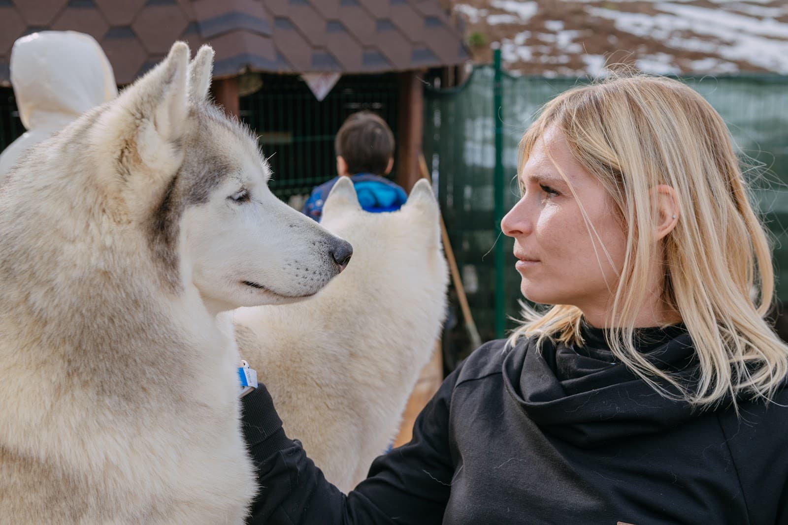 Husky Center Esto-Sadok - Image 1