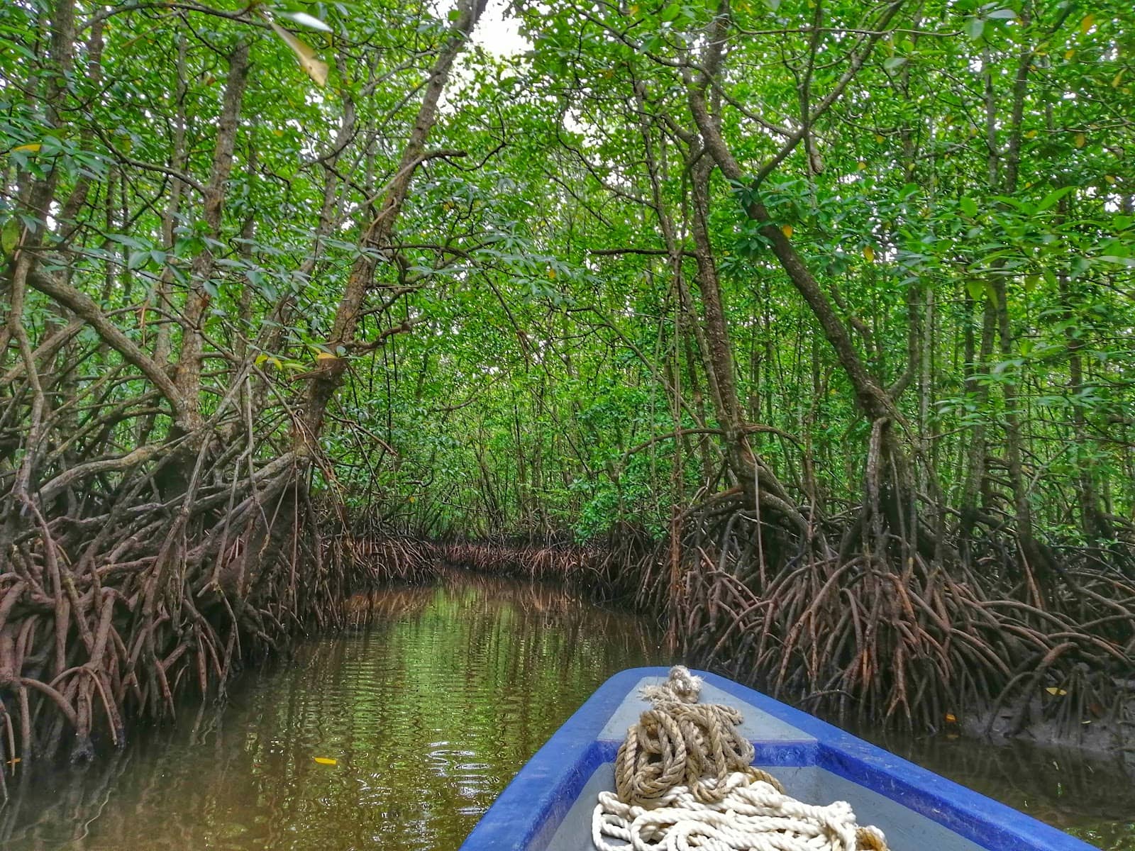 Kelong Fishing Traditions