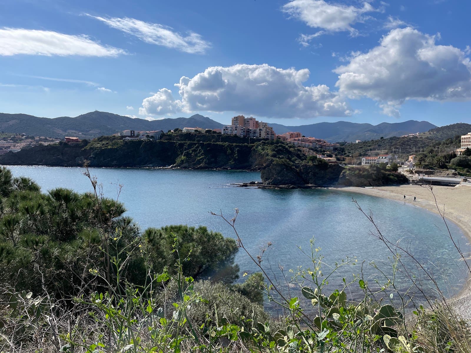 Sentier de la Vigne et du Vin (Banyuls) - Image 1