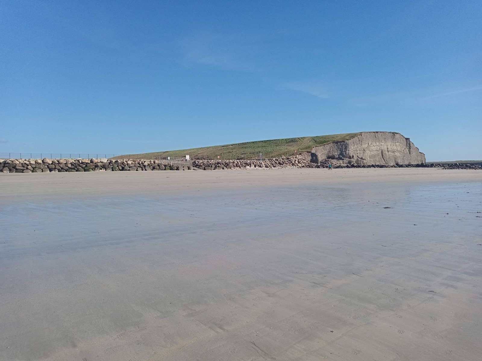 California Coastal Charm
