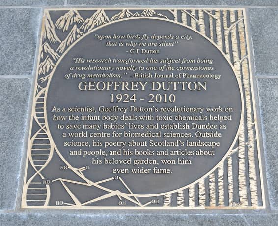 Local Markets & Boutiques